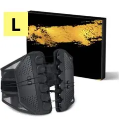 腰用サポーター L 腰ベルト コルセット 滑車式 姿勢補正 骨盤補正 背筋 猫背