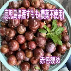 25 鹿児島県産すもも　3.5キロのサムネイル