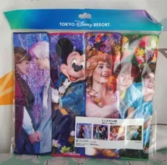 定価以下　ディズニーリゾート　イマジニングザマジック ミニタオル　4枚
