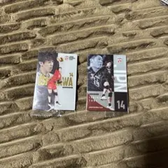 バレーボール 男子日本代表 まとめ売り 石川祐希 など