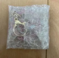 しずくちゃん ゆらゆらキーホルダー はなぢ君