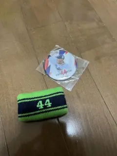 ヤクルトスワローズ 大西広樹セット