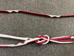 Item thumbnail for item 717dd14b-064d-4bfa-8b3d-8fc65a7d164e