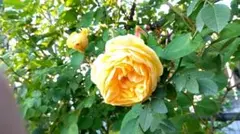 たま様 リクエスト 10点 まとめ商品