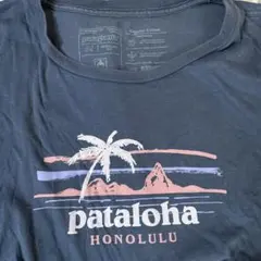 美品　Patagonia ロゴTシャツ