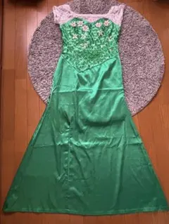 アナと雪の女王　エルサ衣装　サプライズ