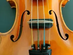 バイオリン ミュート 消音器 Ottavo ポーチ付き #127のサムネイル