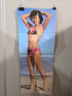 2026年最新】平凡 水着の人気アイテム - メルカリ