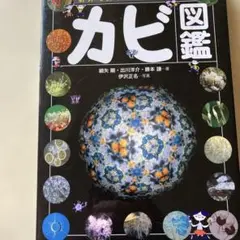 カビ図鑑 : 野外で探す微生物の不思議伊沢正名出川洋介2750円