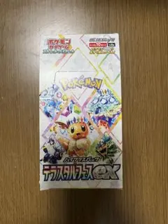 2025年最新】テラスタルフェス boxの人気アイテム - メルカリ