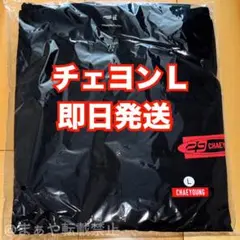 TWICE チェヨン THIS IS FOR 国立 ウィンドブレーカー Mサイズ WINDBREAKER - JEONGYEON【M】/ TWICE『THIS IS FOR (MUFG STADIUM