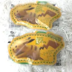 JRポケモンスタンプラリー2019 ピカチュウパスケース　2個セット