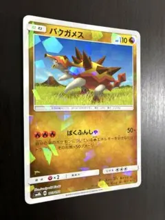 ポケモンカード バクガメス ミラー SM8b GXバトルブースト ばくふんしゃのサムネイル