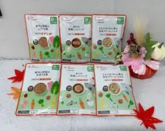 離乳食 the kindest 9ヶ月 ６パウチセット