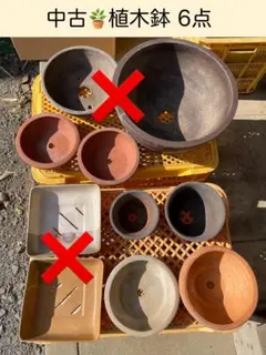 2025年最新】植木鉢中古の人気アイテム - メルカリ