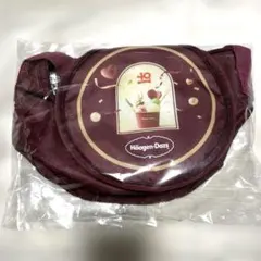 佐藤健 サイン入りハーゲンダッツ オリジナル保冷バッグ 非売品