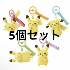 マスコット 十ポケ十色 피카츄 5点セット