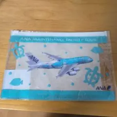 発光Prem.ver 8/15着 ／Airbus フライングホヌ 1/150 発光Prem.ver 8/15着 ／Airbus フライングホヌ 1/150