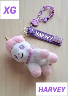XG HARVEY ハーヴィー　キーホルダー　パープルのサムネイル