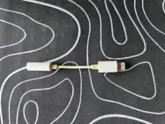 Apple純正　ライトニング　イヤホン変換