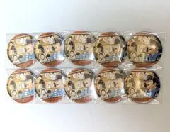 ハイキュー 澤村大地 コレクション缶バッジ MEMORIES 第2弾 10点