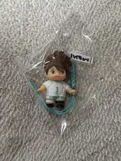 お値下げ❣️ハイキューキューピー 及川徹