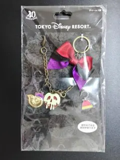 2026年最新】ヴィランズ チャームの人気アイテム - メルカリ