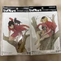 ハイキュー コスパ 限定 アクリルアートスタンド 黒尾 孤爪研磨