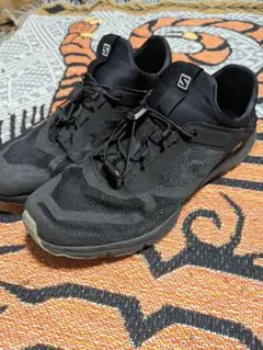 Item thumbnail for item 374b5199-d050-401f-99f5-60cce7bb8fcb