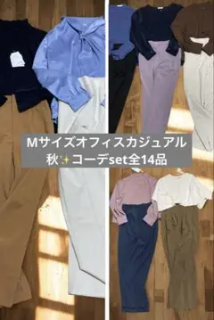 【setバラ売り可】オフィスカジュアル秋コーデset全14品✨新品あり❣️最終価格