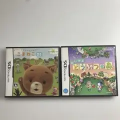 こまねこDS & おいでよ どうぶつの森 セット