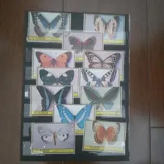 2025年最新】世界の蝶の切手の人気アイテム - メルカリ