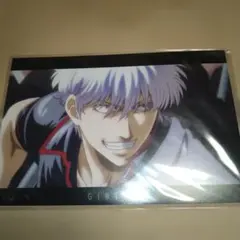 銀魂　THE FINAL　ポストカード　5枚セット　新品未開封