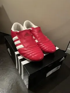 adidasテコンドー