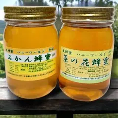 特選みかん　愛媛　　菜の花　大分　国産生はちみつ　各600g　非加熱 特選みかん 愛媛 菜の花 大分 国産生はちみつ 各600g 非加熱 - メルカリ