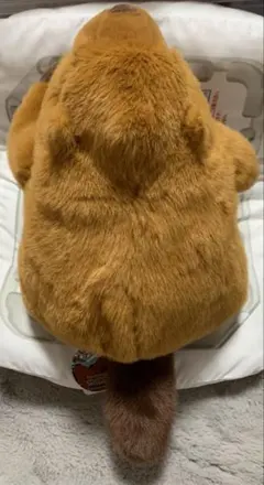 マーモット ぬいぐるみ