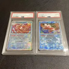 PSA10 連番 トサキント アズマオウ マスターボール 029/187 PSA10 連番 トサキント アズマオウ マスターボール 029/187