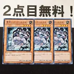 【新品未使用】素早いビッグハムスター　プレイマット　② 2026年最新】素早いビッグハムスターの人気アイテム - メルカリ