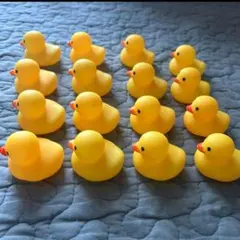 ミニアヒル　ソフビ　マスコット　16個　まとめ売り