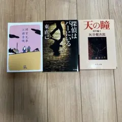 日本文学作品 3冊セット
