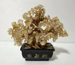 黄水晶　招財樹「金のなる木」のサムネイル