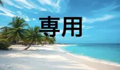 じさん様 リクエスト 2点 まとめ商品