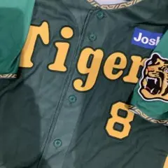 Item thumbnail for item 16a42845-b522-475c-ac38-6d22fb277fca