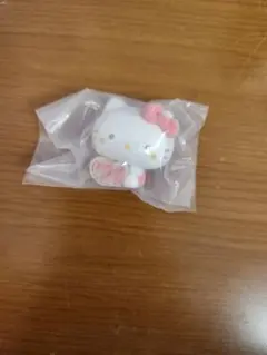 カプセルフロッキーズ　スタジオハヌル×サンリオキャラクターズ