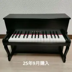 2025年最新】カワイミニピアノブラックKAWAIの人気アイテム