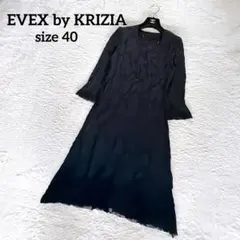 美品 エベックスバイクリッツア 総レースVネックワンピース 40 三陽商会 黒のサムネイル