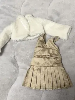 Item thumbnail for item fd840650-38c8-4578-a41d-f005dab660ec