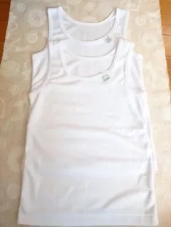 Item thumbnail for item 2e3c63fe-5a33-44db-8ba0-a277259f4c3e