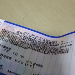 阪神タイガース優勝チケット