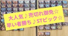 大人気★超激安！早い者勝ち!!✨特価250円〜☆2枚〜選択要♪ポケモンフレンダ♪